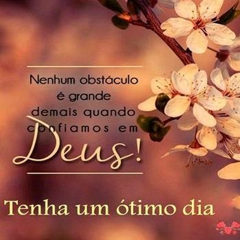 Nezinha Tim Beta (@nezinha2016) on Twitter photo 