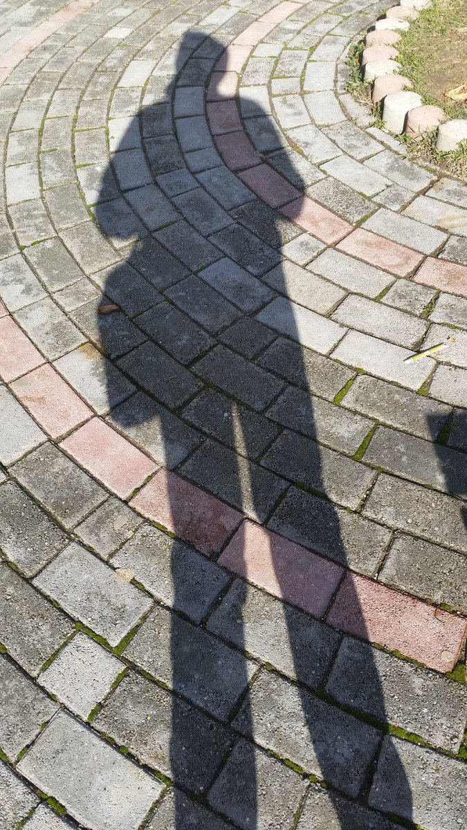 faviopoci's tweet photo. Something I read lately which stroke me hard: Try to keep your shadow behind and let it follow you. 

#shadowleader #positivethinking #gym #grateful https://t.co/9twoyUVwRs