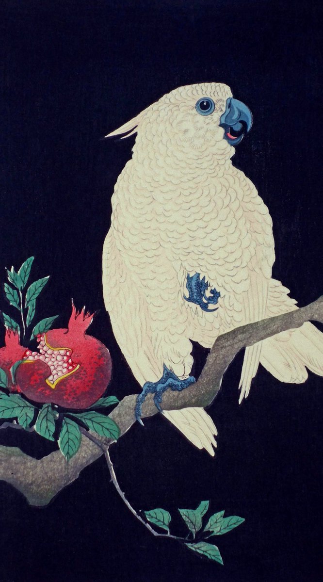 Masaki Hirokawa على تويتر 浮世絵壁紙 美しい日本画ギャラリー に新しい壁紙 を127点追加いたしました 今回は1868年 1912年までの浮世絵と 1915年 1940年代までの日本画を中心に掲載いたしました どれも繊細で美しい作品です 是非ご鑑賞下さい T