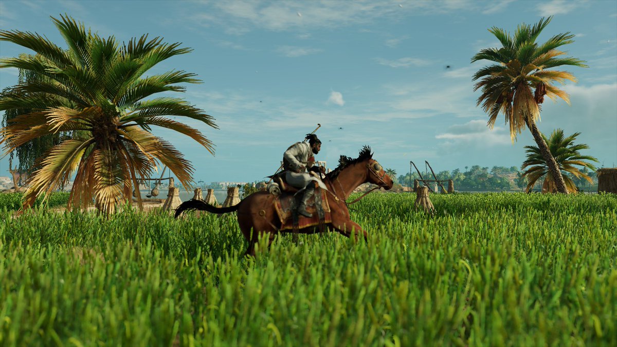#VirtualPhotography #PS4share #AssassinsCreedOrigins