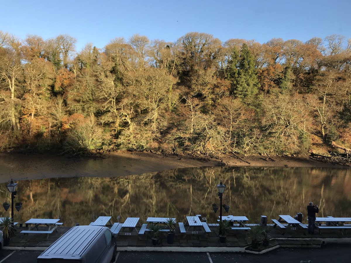 A little bit frosty this morning?
#view #frost #winter #ice #tree #leaves #colour #reflection #riverdart #bowcreek #riverdartatbowcreek #thetuckenhaypub #themaltstersarmstuckenhay #themaltstersarms #sky #blue #bluesky