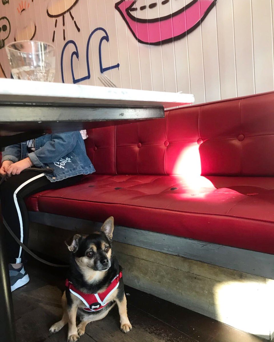 Everyone's welcome at Hertford House!