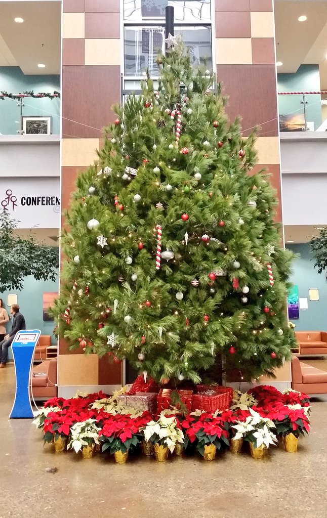 AskEthanDo's tweet photo. Our blue #event kiosk completes this #festive scene so perfectly. @MIP_Hamilton @McMasterEng @OverAirNFC #eventtech https://t.co/86Tddo0GvL