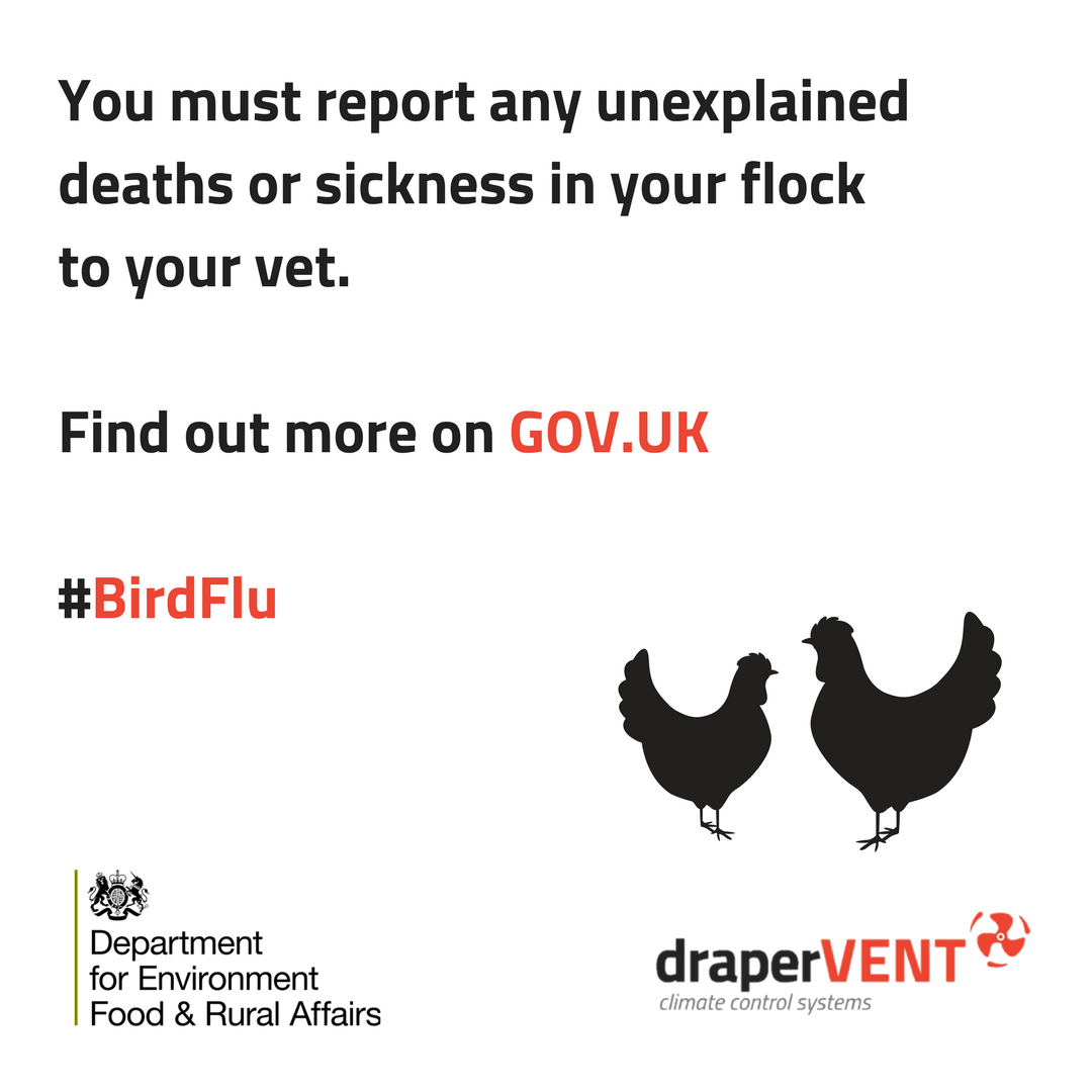 draperGROUP tweet media