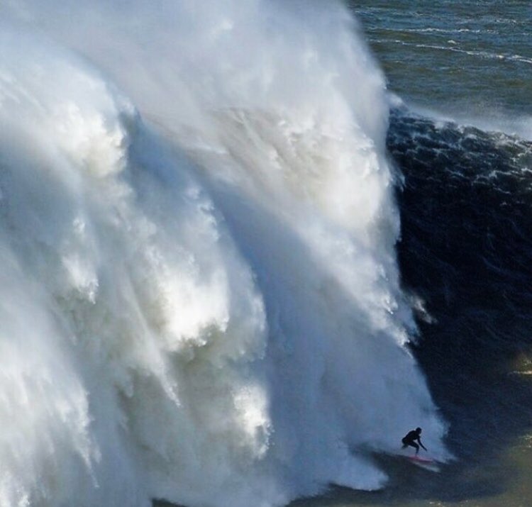 AlejandraSurfer's tweet image. Happy day all n L🏄🏼♀️VE