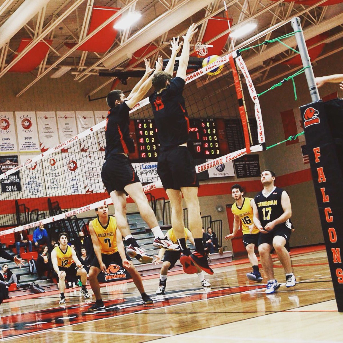 FanshaweMVB's tweet photo. #GAMEDAY in the Nest! 🐦🐦The Birds host St. Clair tonight, 8pm game time! #flyhigh #battletest https://t.co/b5n81RfDyv