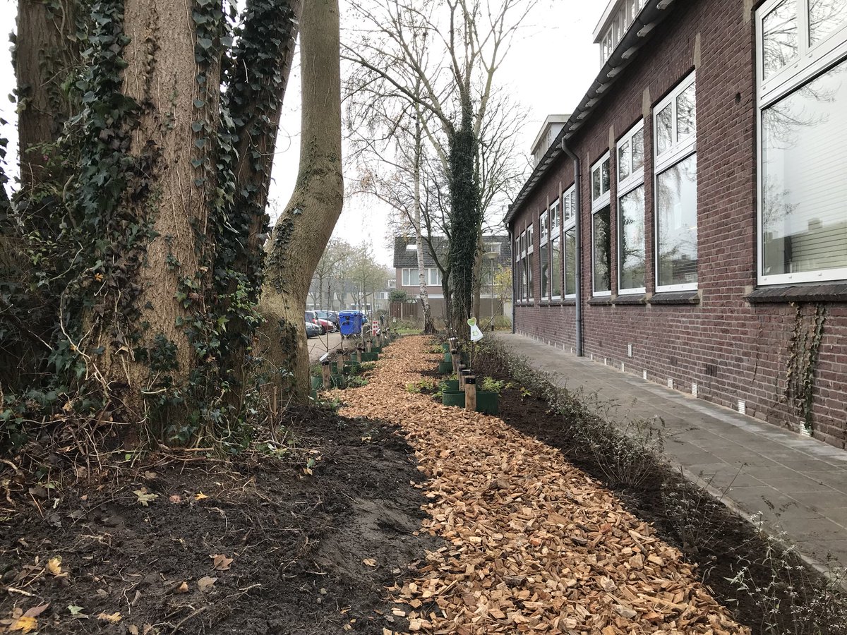 drPrincenhage's tweet photo. Bij de Dobbelsteen is het eerste stukje #plukroute #princenhage aangelegd. Gaat heel mooi worden! https://t.co/9g3DvQfmpt