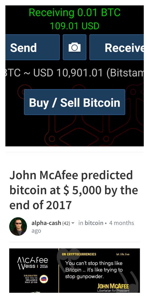 John McAfee Claims one Bitcoin Worth US$500,000 in Three Years