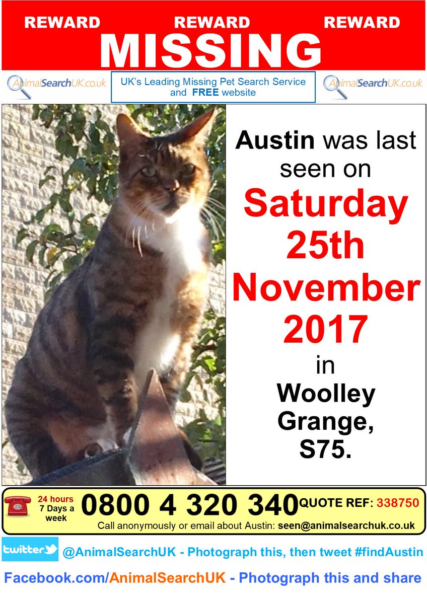 AnimalSearchUK's tweet photo. PLZ RT @BarnsleyToday @VetPractitioner @Medivet_UK #missingcat #woolleygrange #barnsley #S75 #findAustin
https://t.co/AqgXnvH8IN https://t.co/eHBwYVYhiS
