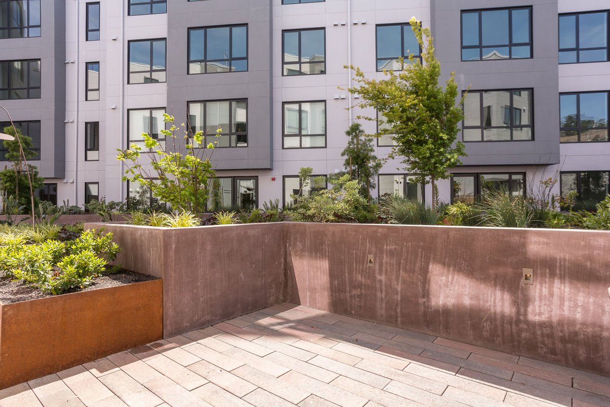 Knox Dogpatch tweet media