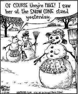 BlueButterflyFF's tweet photo. Morning giggles! Make it a great day! #BlueButterflyFurnishings #Giggles #MakeItAGreatDay #SnowWoman #TheyAreFake @BlueButterflyFF https://t.co/XD1a2wsvc3