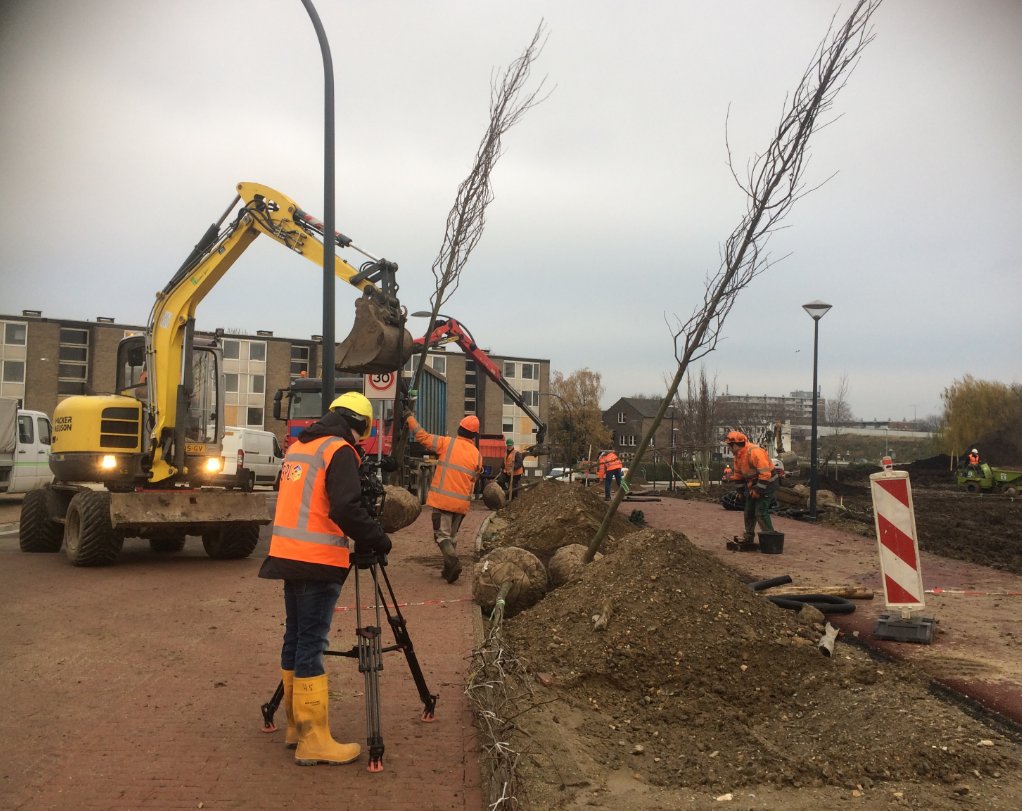 DesireeFlorie's tweet photo. Opnames #ViaMaastricht: bomen voor Geusseltheuvel en nieuwe  stadspark tussen ANWB- en Torenflat. #TransitieMaastrichtOost. Uitzending nu zondag @l1. https://t.co/RmjKbVh9DU
