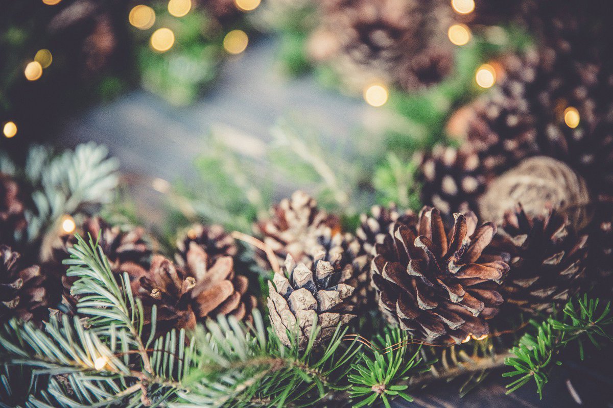 A due passi da #Radicepura esiste una dimora immersa nella #natura fatta di #design, armonia e #wonderbox, le offerte speciali pensate apposta per le vostre vacanze di #lusso.
ow.ly/rFMX30gPYrr