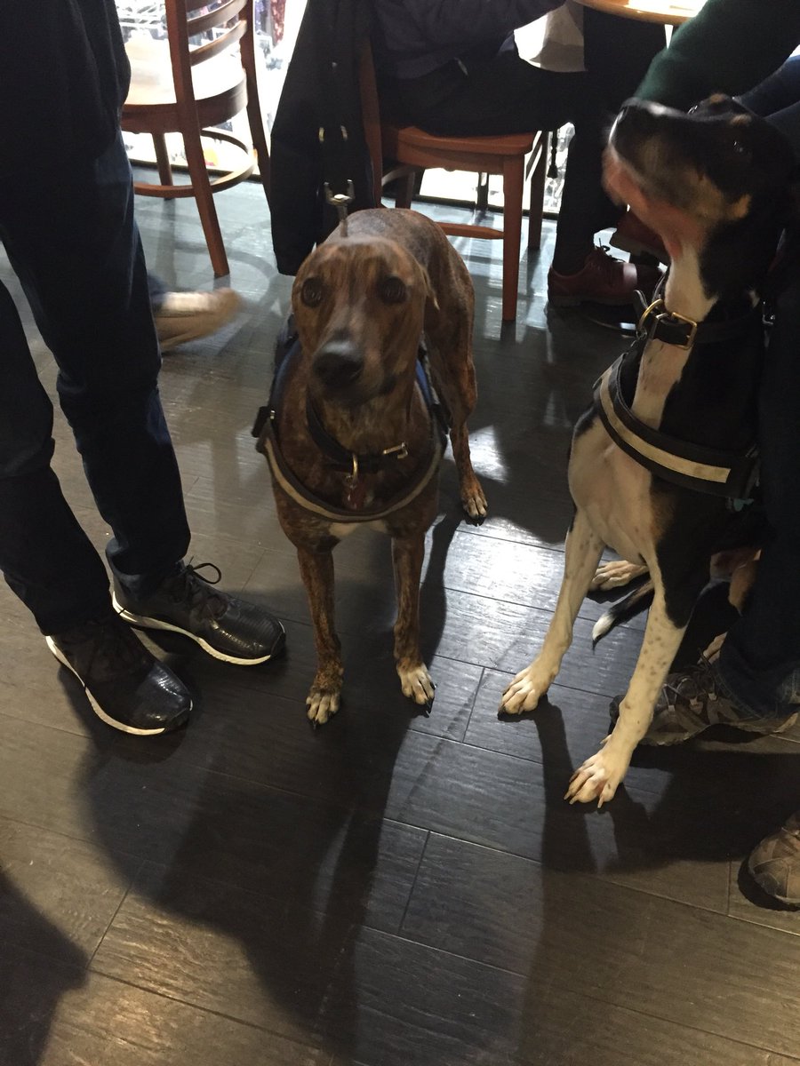invernessav's tweet photo. And here they are at Starbucks https://t.co/NOOW2ZPwLO