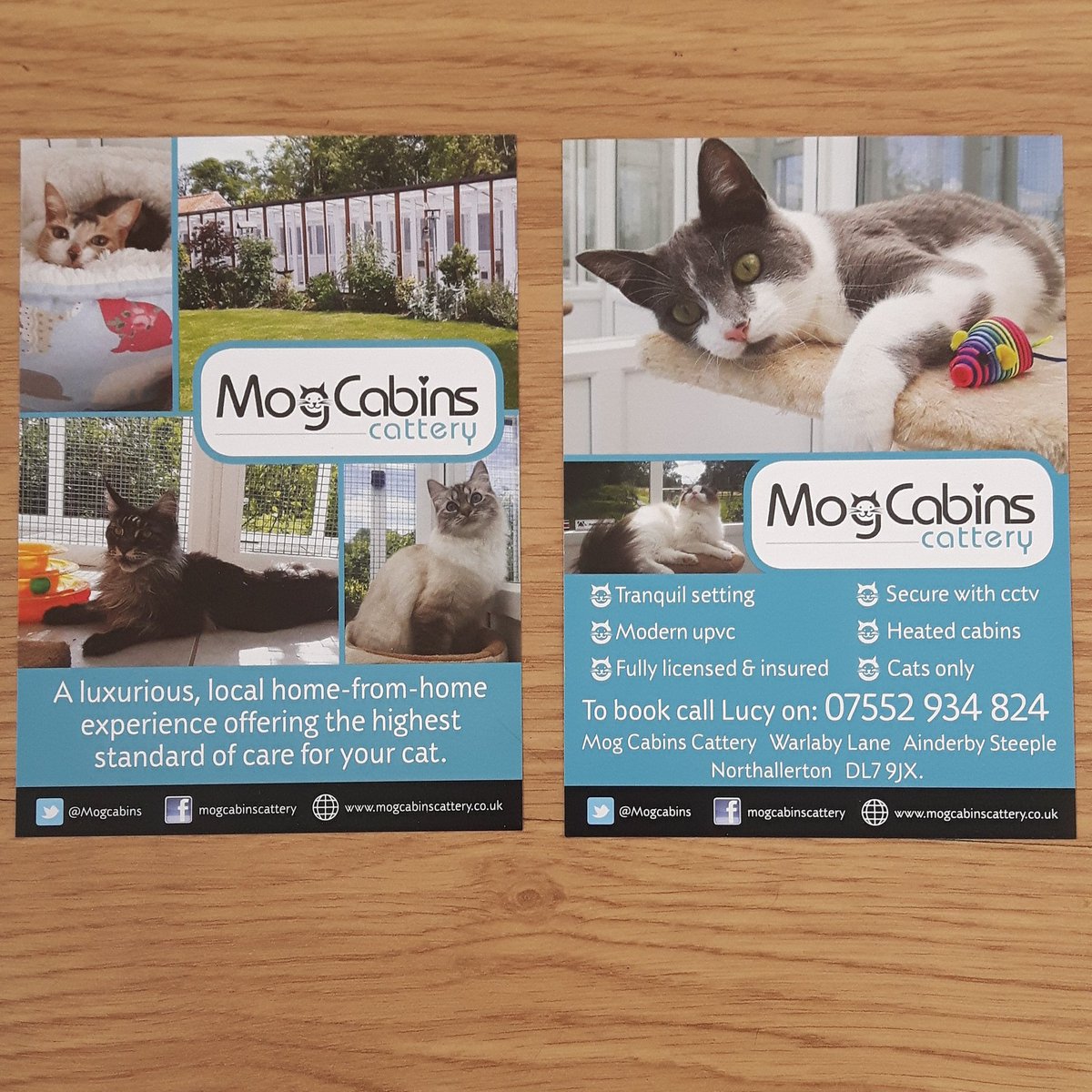 Our new flyers have arrived, featuring some of our beautiful guests! #cathotel #catholiday  #northallerton #northyorkshire