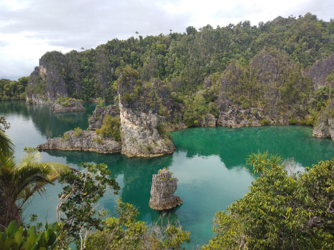 IndonesiaGaruda's tweet photo. The #ExploreWonderfulIndonesia trip in Raja Ampat continues! We were having fun with the kids in Arborek Village & dived into the beauty of Painemo.
Follow the trip with @indtravel on our Instagram stories & don't miss our best fare to Sorong at https://t.co/KDuRuYxyD1 #GOTF2017 https://t.co/MfkqSQNkMx