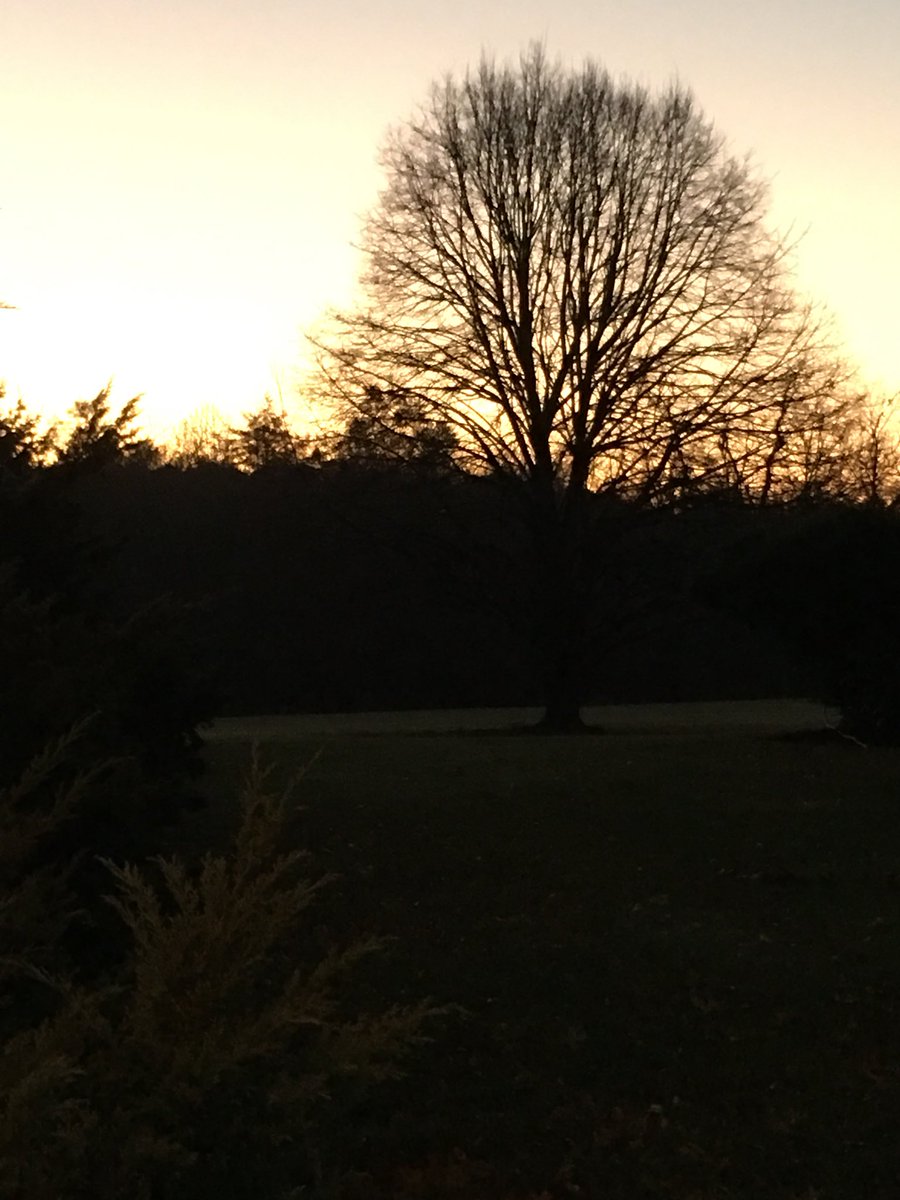 MarlaBeil's tweet photo. Lovely morning for a walk #NovemberSky #Fall #GetOutside #LayInTheGrass #MyBoyJack #🐶 https://t.co/u3W7m0mYzP