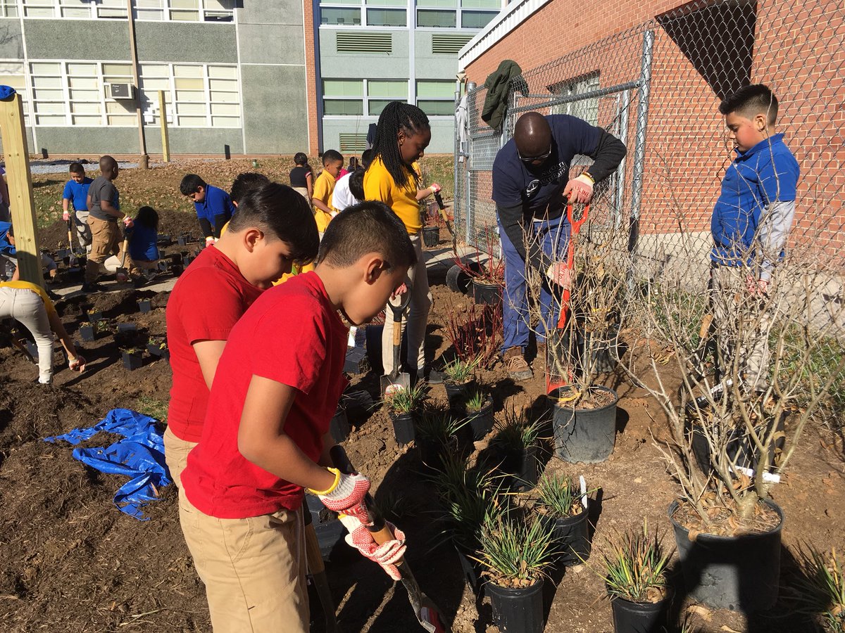 anacostiaws's tweet photo. Students @pgcps @Calveelementary worked hard yesterday greening their schoolyard! @baytrust @SchmidtCenter #treatingandteaching https://t.co/SOGguZpegU