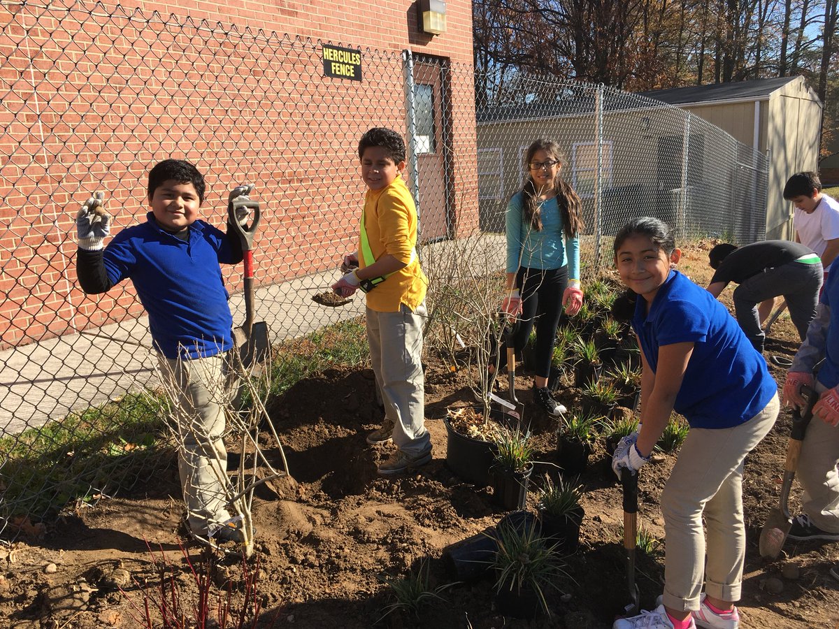 anacostiaws's tweet photo. Students @pgcps @Calveelementary worked hard yesterday greening their schoolyard! @baytrust @SchmidtCenter #treatingandteaching https://t.co/SOGguZpegU