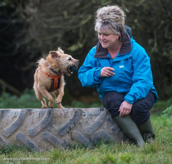 psimages's tweet photo. @GablesFarm @PlymouthHerald Alfie finally found his forever home on his 7th birthday after being looked after at @gablesfarmdogsandcatshome @theplymouthherald #dogs #dogs_of_instagram #charity #happydog #birthday https://t.co/Bc0B30Ny0w