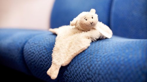 LINDAnieuws's tweet photo. Knuffel verloren in de trein? Neem een kijkje @NS_online #weekvandeverlorenknuffel #knuffelkwijt - https://t.co/FL8b3ahYvx https://t.co/fxE2Wczru3