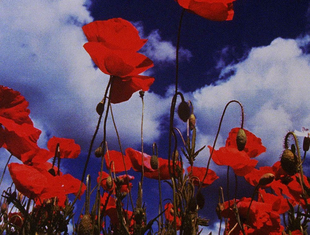 HackneyPH's tweet photo. Into your animation? @EdgeofFrame presents three programmes of the experimental and independent at this year's #LIAF2017. This coming weekend: https://t.co/ZdBRhSQdrT https://t.co/aWyWGZIV6b