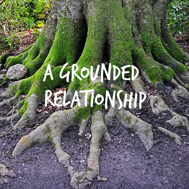 buff.ly/2zW7NGk

True growth is never at the expense of stability

#couples #relationshipcoach #nature #natureinspiredrelationships