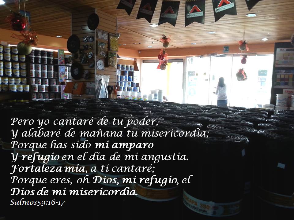 TorFortte's tweet image. #29Nov 
En su templo todo proclama su gloria.
Jehová preside en el diluvio,
Y se sienta Jehová como rey para siempre. 
Jehová dará Poder a su pueblo;
Jehová Bendecirá a su pueblo con Paz. 

salmos29:9-11