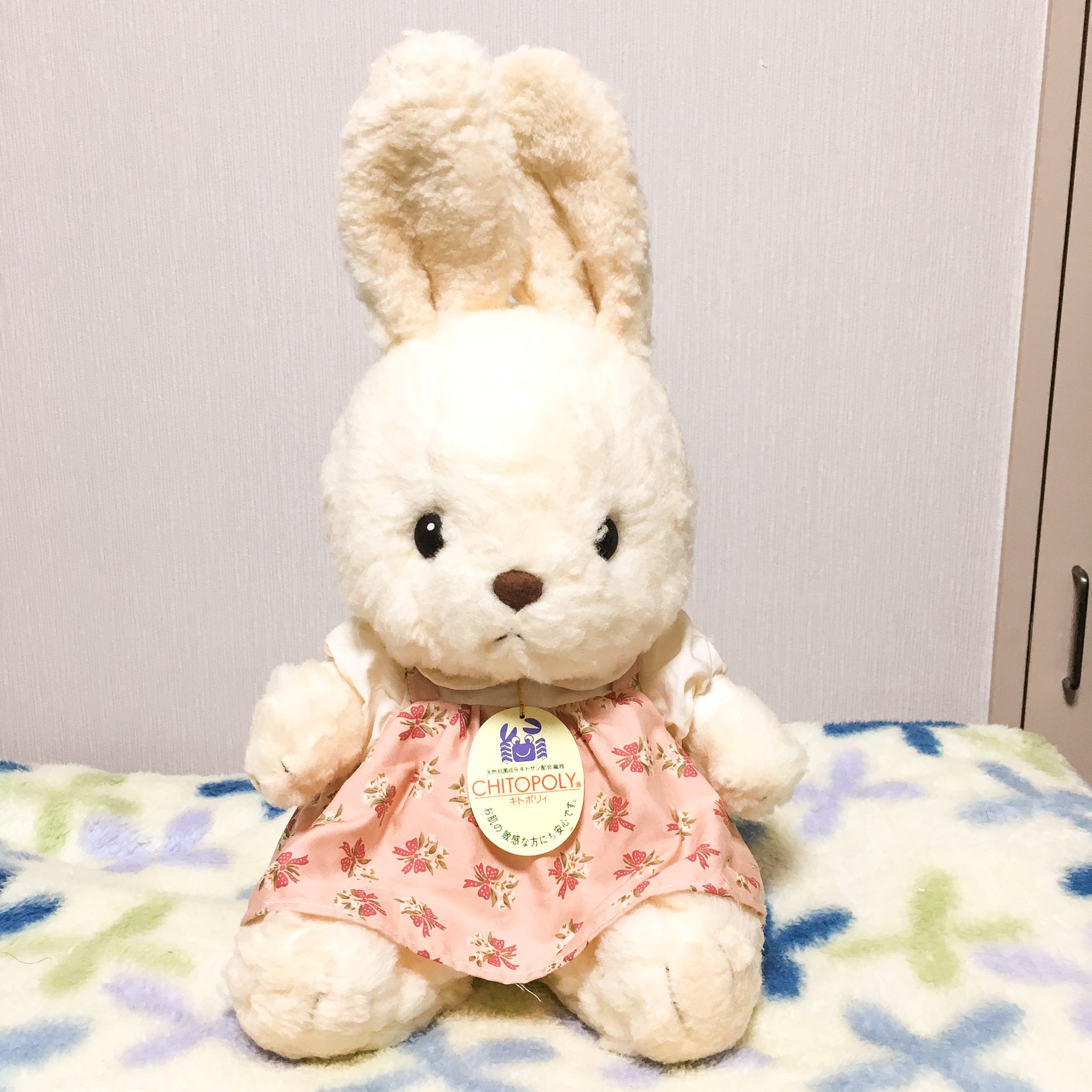 うさぎのぬいぐるみわーるど Sur Twitter ファースト社のキトポリィうさぎ カニやエビの殻に含まれるキトサンを 繊維に練りこんで作られているそうです なかなか珍しいぬいぐるみです ぬいぐるみ ぬいぐるみ大好き うさぎ うさぎのぬいぐるみ ウサギ