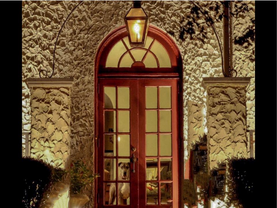 bennetch_marlin's tweet photo. Check out the Great Dane looking out the window. Even family pets admire a good outdoor lighting project. Contact us if you want to make your pets proud of their home too. https://t.co/jRbtpzHqUP