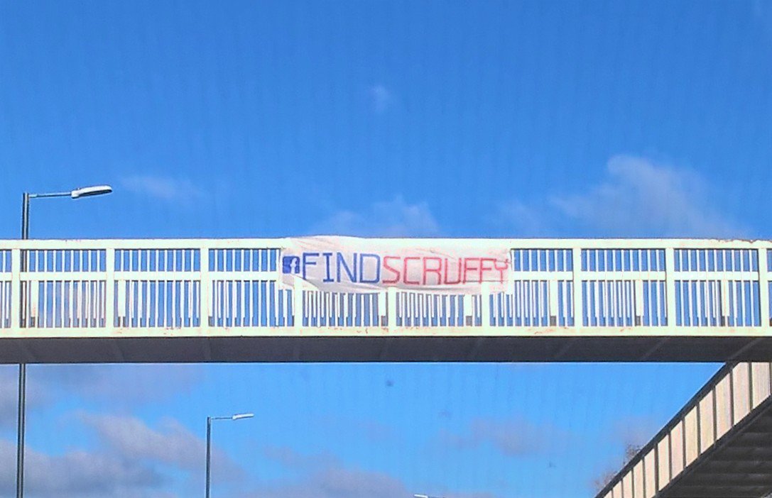 FindScruffy's tweet photo. Making banners; they seem to stay longer than Missing posters. #ThanksCouncil #Sarcasm#FindScruffy #Dog #Missing #Lost #Stolen #Bournemouth https://t.co/4OI2wMnYCN