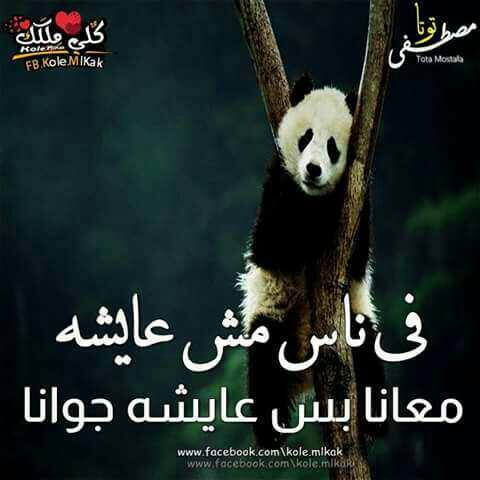 Hamsa3112's tweet photo. حقيقه للاحساس https://t.co/hPKVNEmMfj