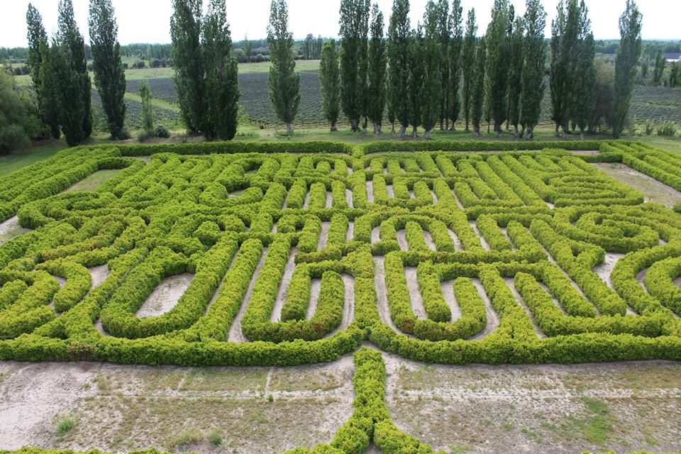 Un atractivo turístico tremendo en San Rafael: ¿conoces el Laberinto de Borges? #NoticiasAcequia te invita a recorrerlo. Mirá bit.ly/2k74319 🌳
