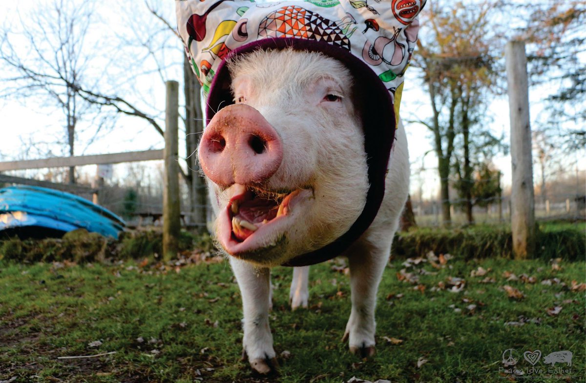 You know it’s cold outside when you can see yourself pass wind.