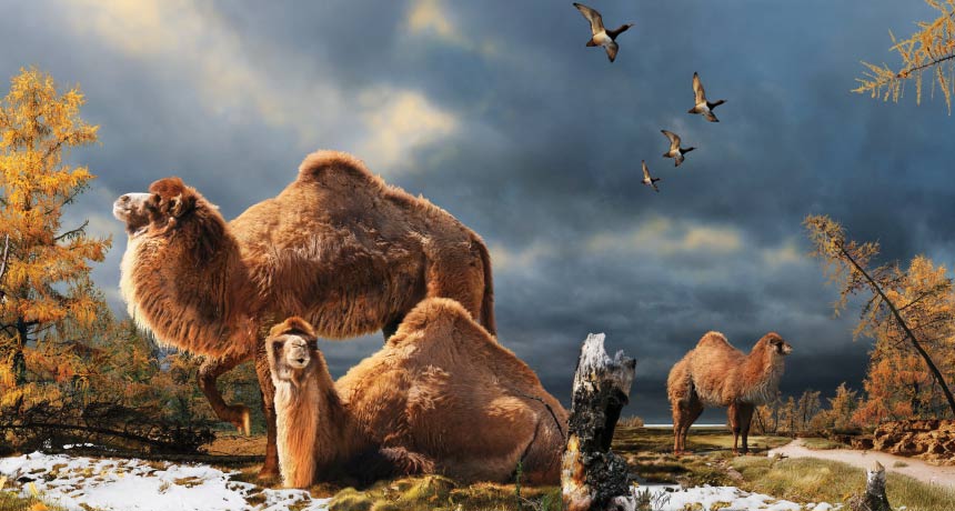 things_science's tweet photo. Scientists are looking to warm periods of the past to understand how our planet might respond to the ever-increasing problem of climate change. #Paleocene #Eocene #climatechange #science #ScienceNews 🔬🌏
https://t.co/2lVaIYM67B https://t.co/dFFjmzjFxm