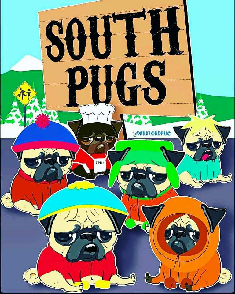 Meggotron1's tweet photo. #puglife https://t.co/DT90SswDic