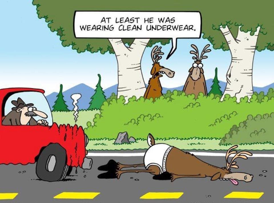 CollWrksYukon's tweet photo. Sometimes the deer wins, sometimes you win. #hitadeerwinsomegear #watchout #deerseason

https://t.co/DMyKjpLyJ0 https://t.co/hcp1lV2P5W