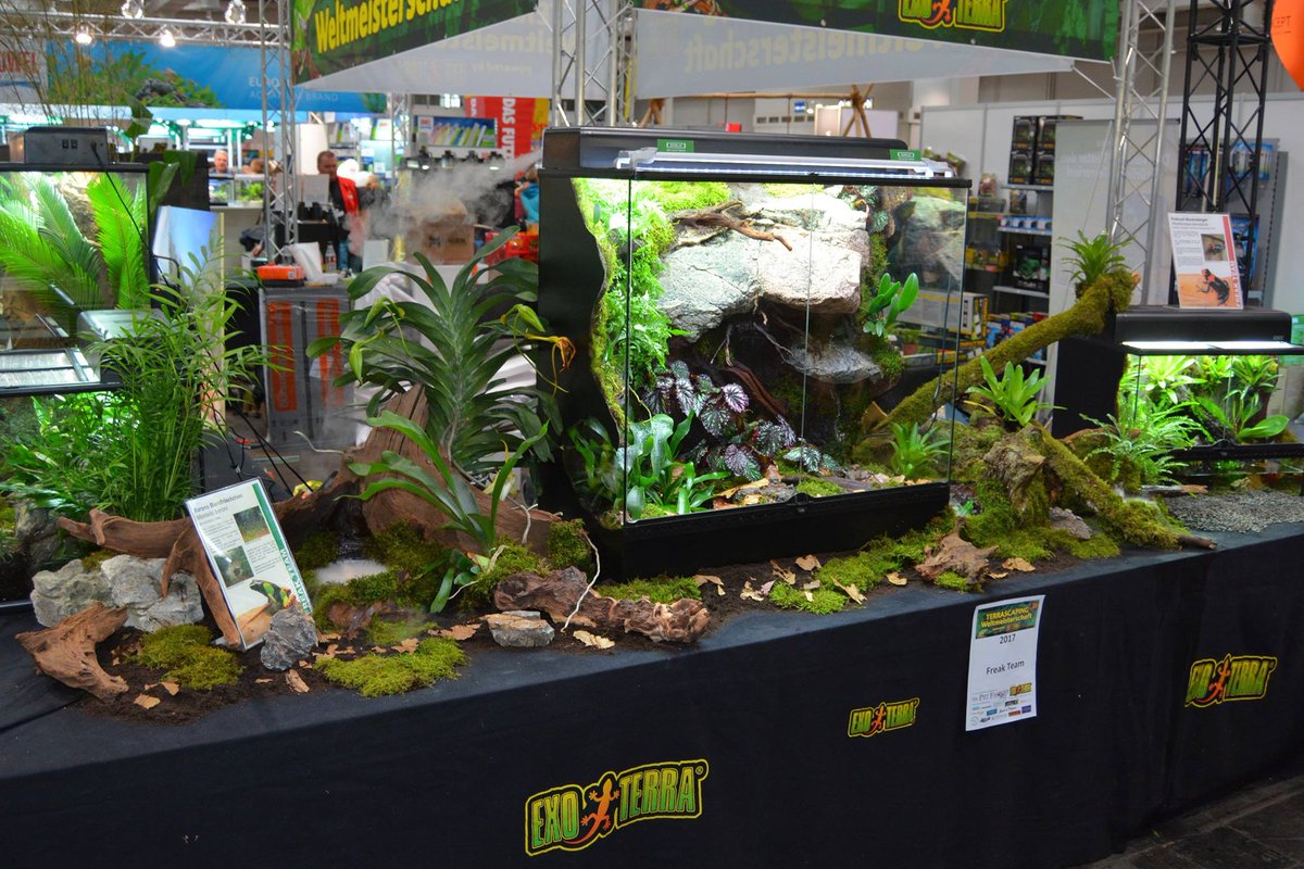 Exo Terra on Twitter "The World Cup Terrascaping will be held in 