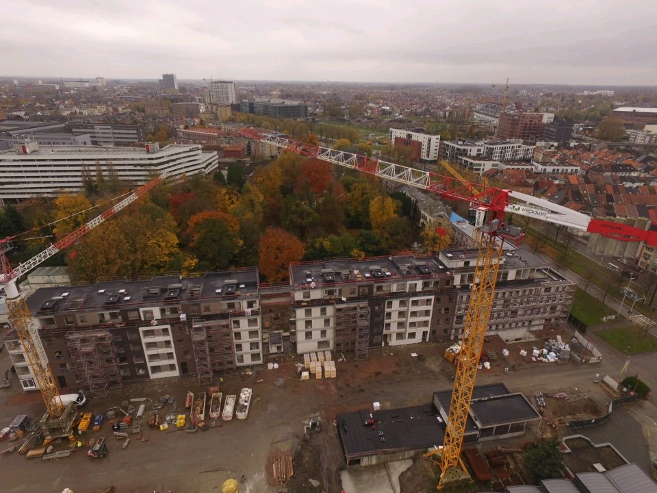 assistentiewoningen De Lieve tweet media
