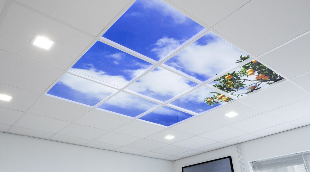 DGNHS Charity 💙 tweet media