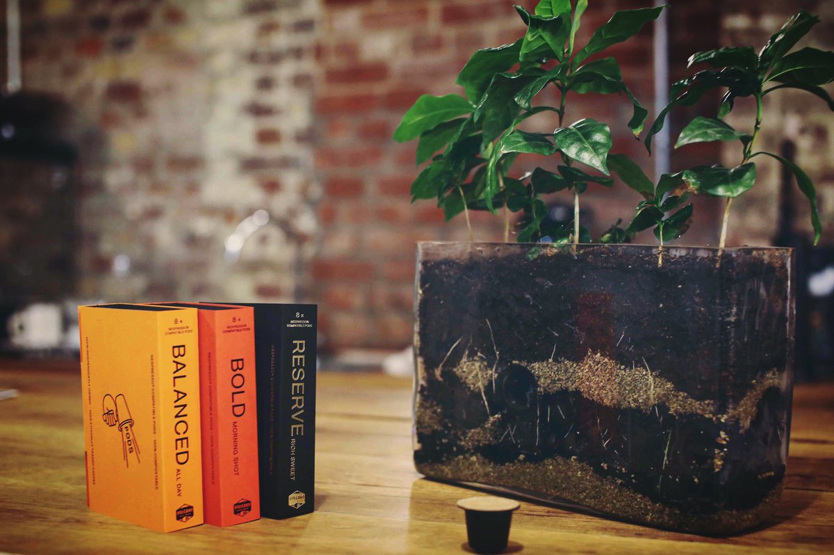 TheRightRoast's tweet photo. BRAND NEW EPISODE discussing @volcanoathome fully compostable and ethically sourced coffee pods with coffee masters champion James Wise-OUT NOW!

https://t.co/i6lzXzdbin https://t.co/nWggnrYGEY