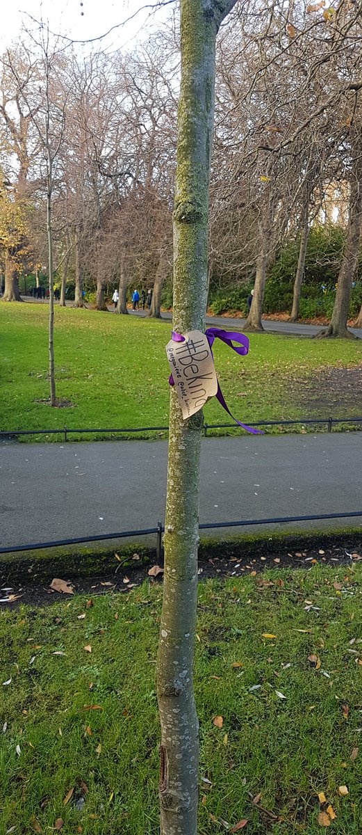 LouiseDoherty10's tweet photo. Feeling low, walking through Stephens green and I spotted a purple ribbon on a tree. #BeKind  @Alice_Kiernan https://t.co/iEtXcq1gYW