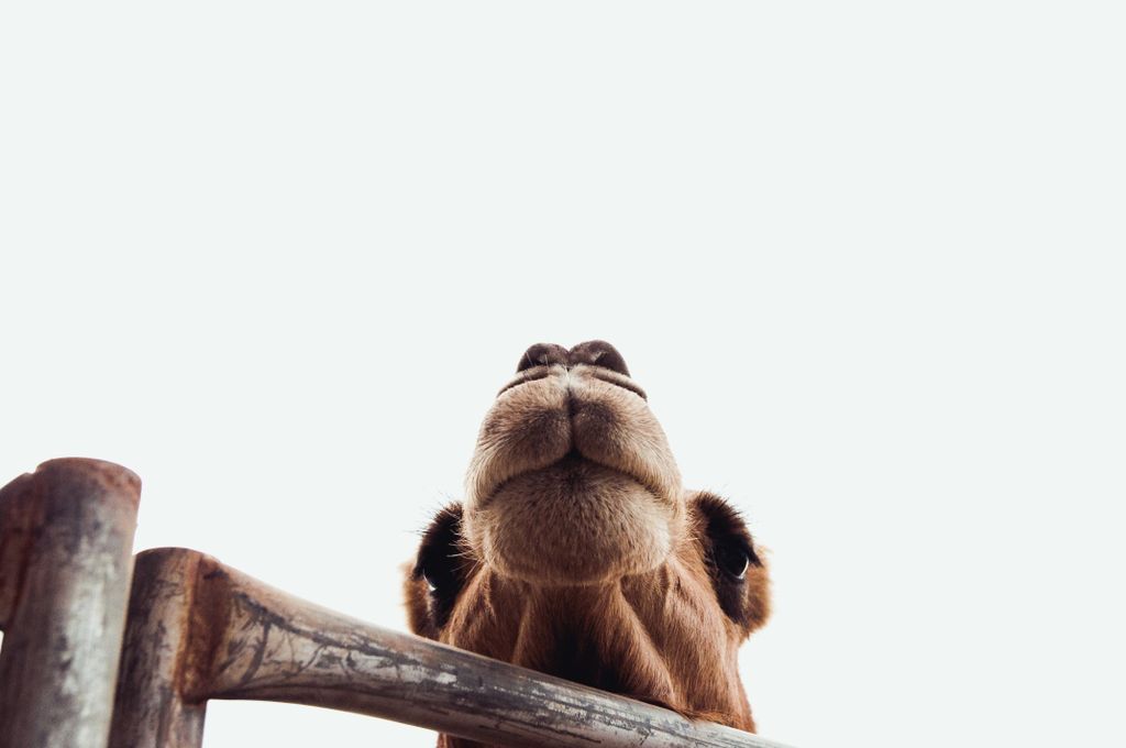 Freedom House Church tweet media