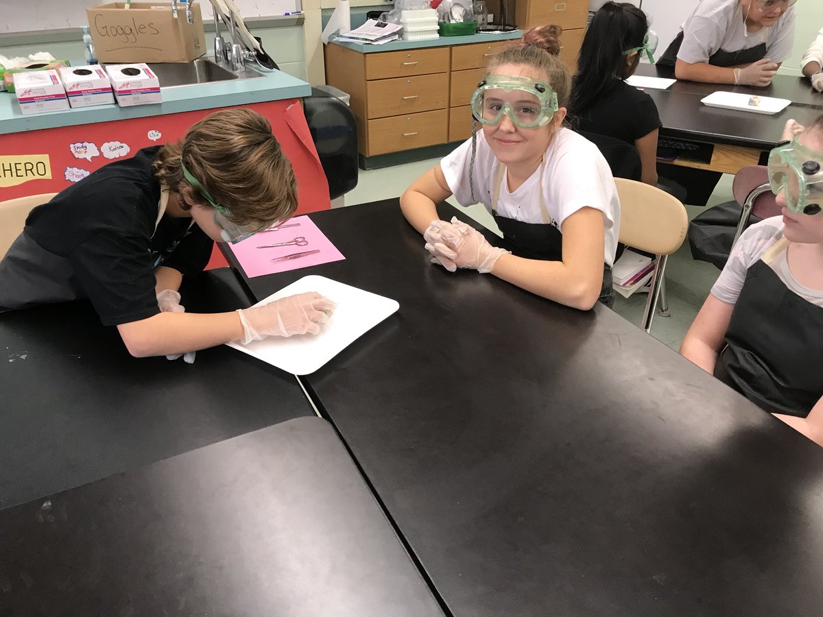 FarrellKerri's tweet image. Science Kriete/Chapman-Cow’s Eye Dissection is underway!@CTBarkalow @mrs_kriete