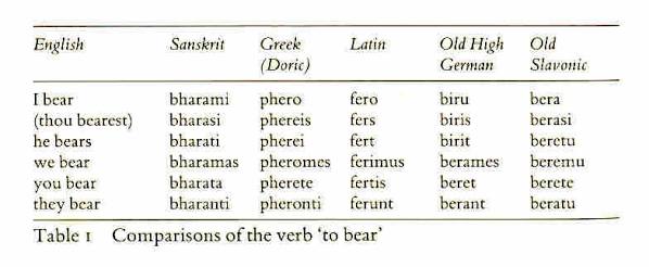 Joseph T Noony On Twitter A More Refined Example Of How The Indo European Languages Are All Mere Mutated Forms Of An Extinct Prototype Each Accumulating Changes From Each Other Through Step By