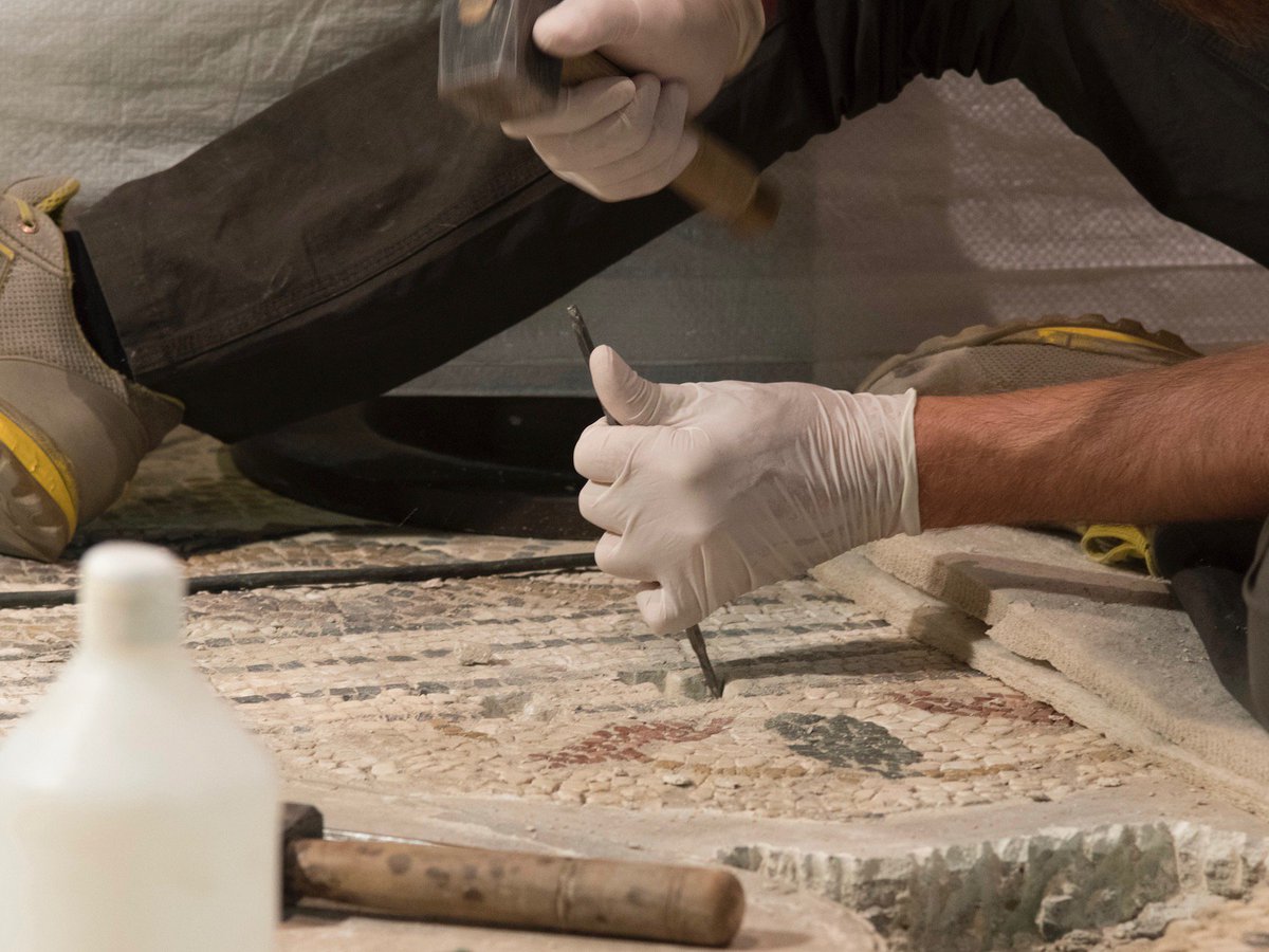 MrFirenzeSpett's tweet photo. Restauro del mosaico in Santa Reparata a cura dell'@OperaDuomoFi 

VIDEO https://t.co/yE0q9VRDUm https://t.co/rN9iq1r4HG
