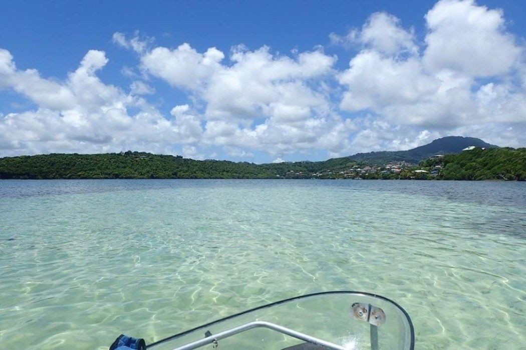 Villaveo's tweet photo. Faire de la pirogue transparente en #martinique avec #fleurdo https://t.co/SvlKaH38sr https://t.co/v1WUn5NcQT