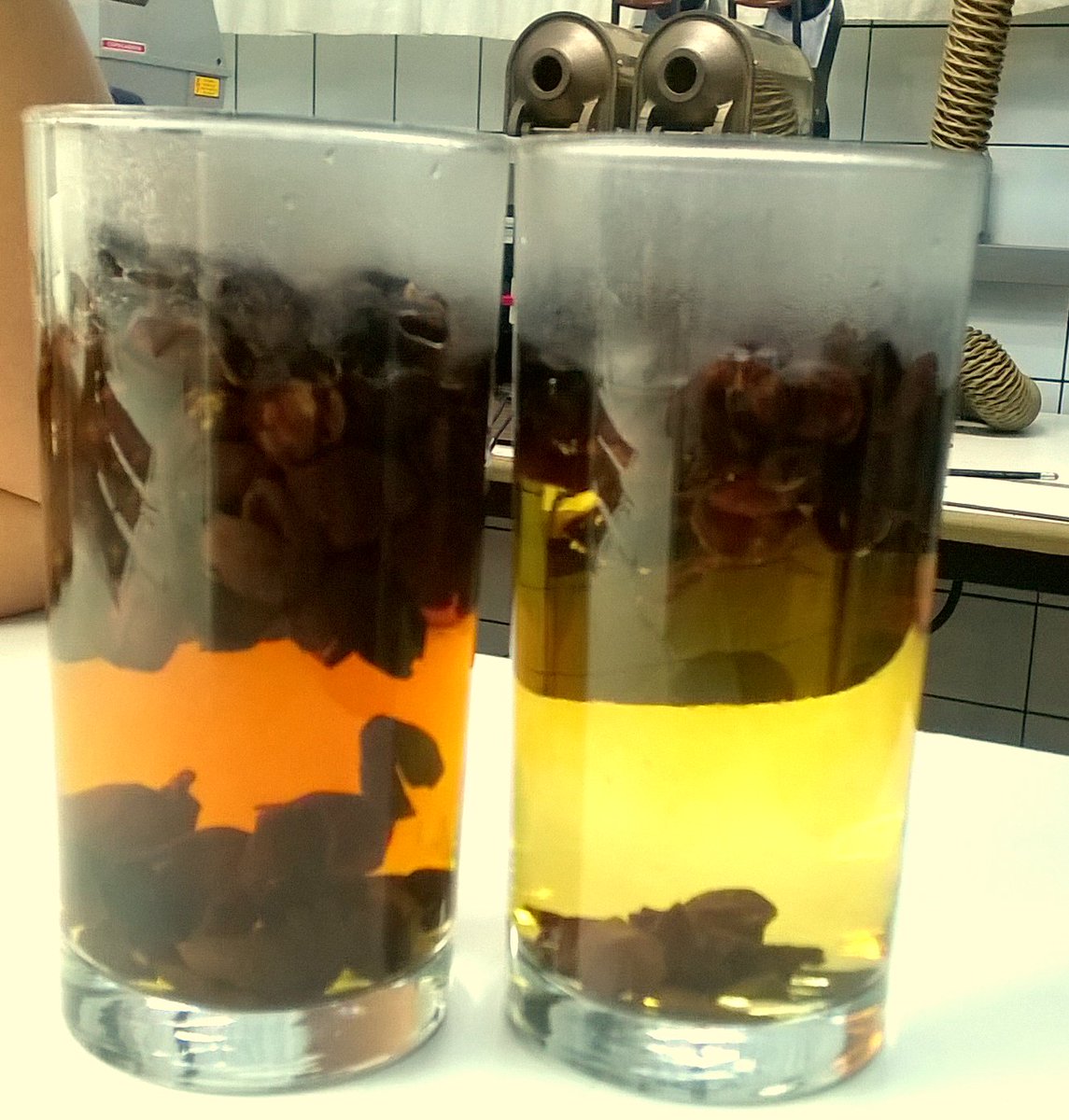 Bulebluecoffee's tweet photo. Chá de casca!!

#novossabores #cascadecafé #coffee #coffeeday #experimentando https://t.co/MnFxK5aohJ
