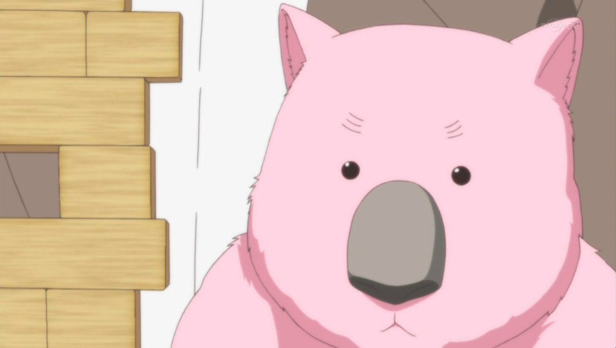 嘲笑のひよこ すすき 本日11月30日は 美男高校地球防衛部ｌｏｖｅ のウォンバットの誕生日 おめでとう ウォンバット生誕祭 ウォンバット生誕祭17 Boueibu 11月30日はウォンバットの誕生日