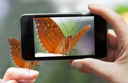 BananaSoftCom's tweet photo. 5 excelentes app gratis para fotógrafos y creativos. 
https://t.co/tz8Z87J7lf #CREATIVIDAD #FOTOS #fotografia #Apps https://t.co/8a2BlIIDeW
